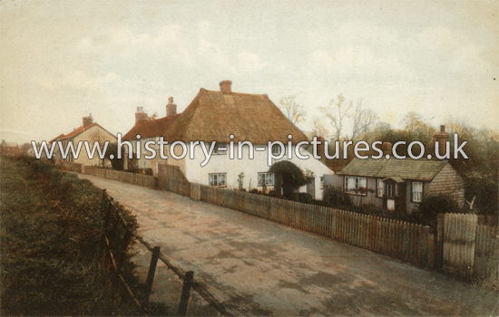 Orchard Cottage, Steeple Bumpstead, Essex. c.1920's